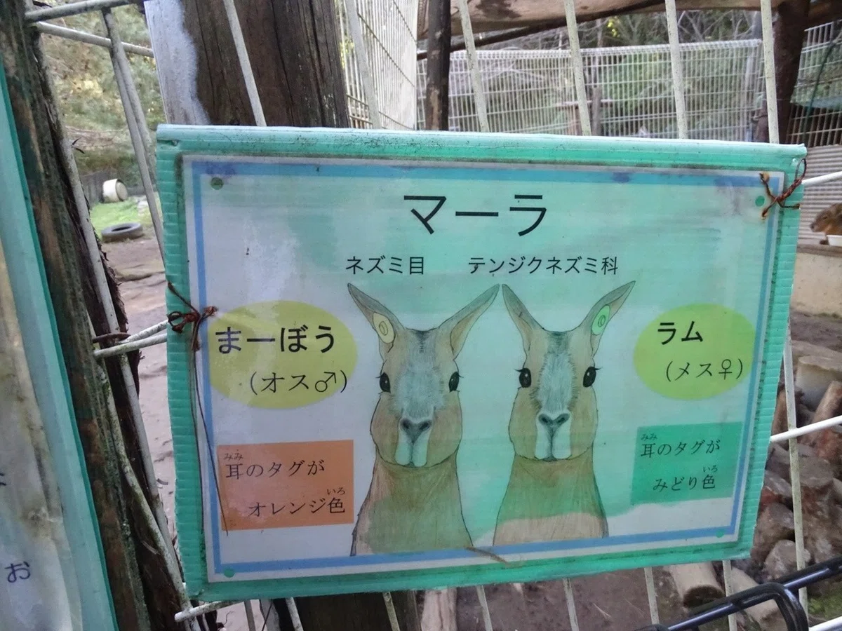 画像16