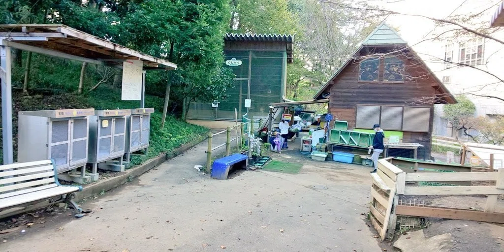 画像21