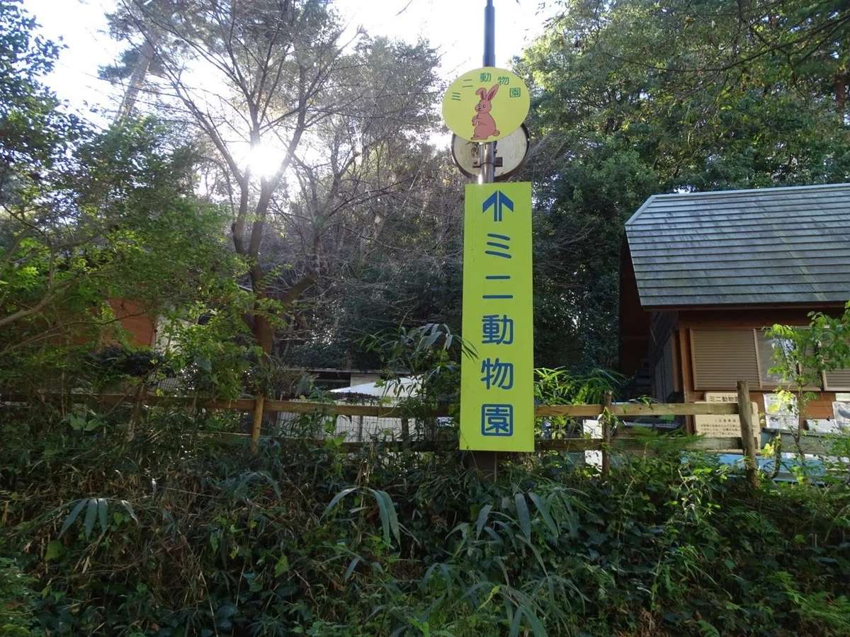 画像19