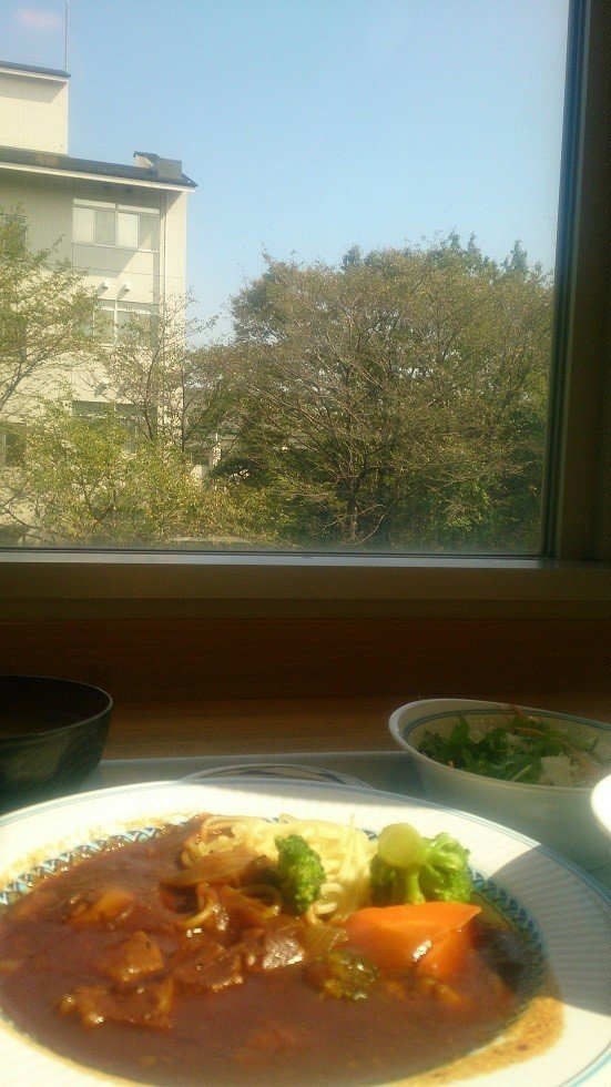 閉店 横浜国立大学第一食堂を救え はるたま Note