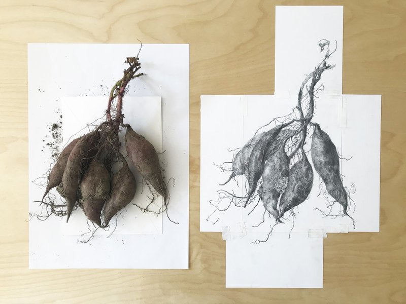 季節の野菜デッサン教室 かんざき Note