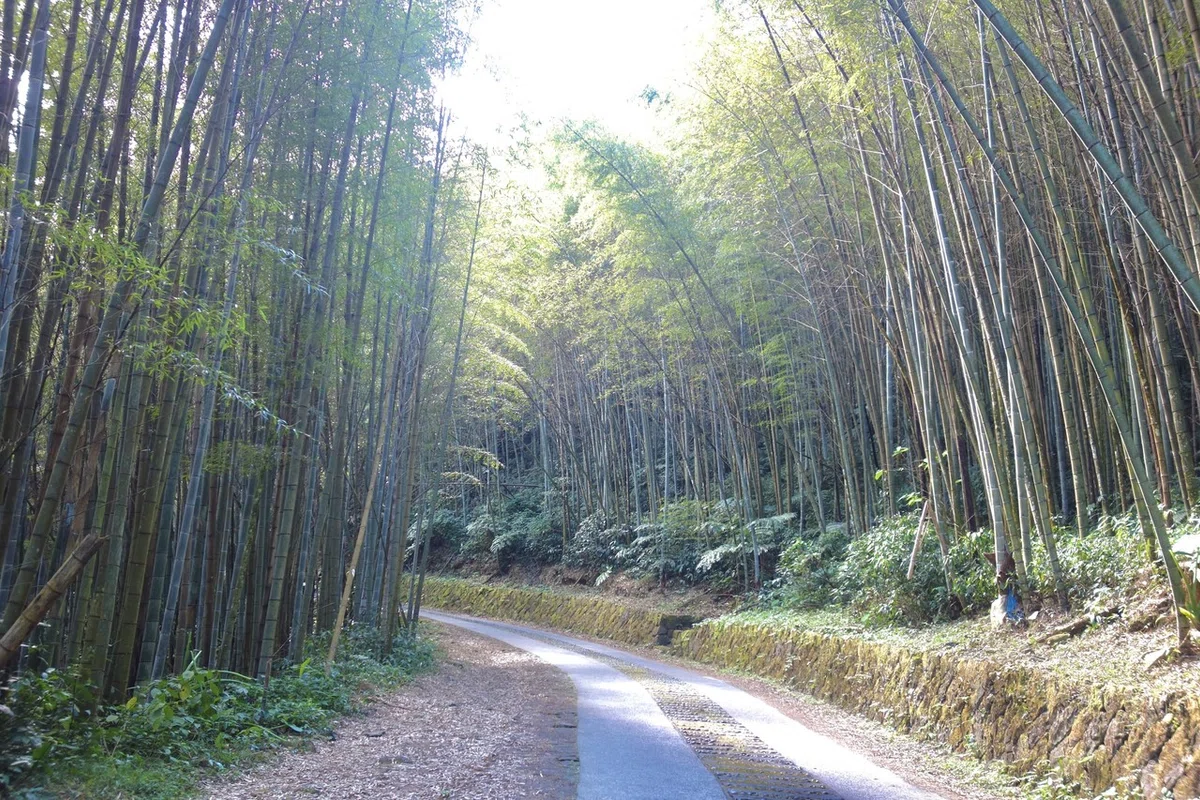 画像15