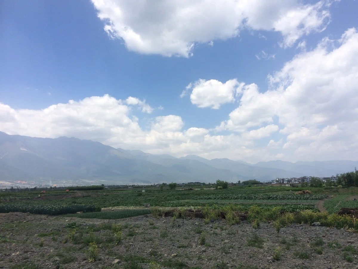 画像16