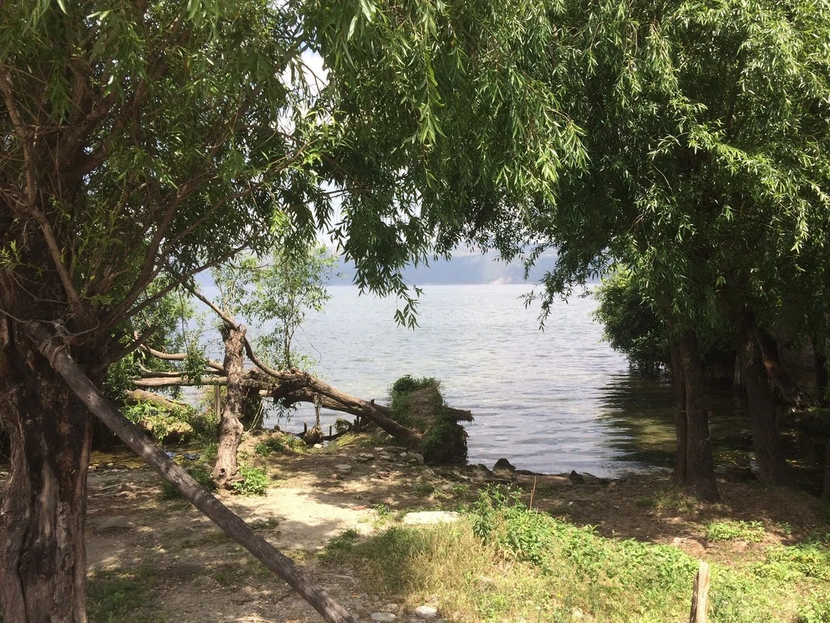 画像17