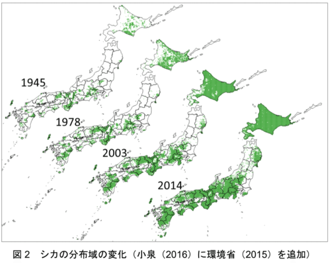 まとめ】シカ問題を図解してみた【地方で深刻】｜OKよーへー