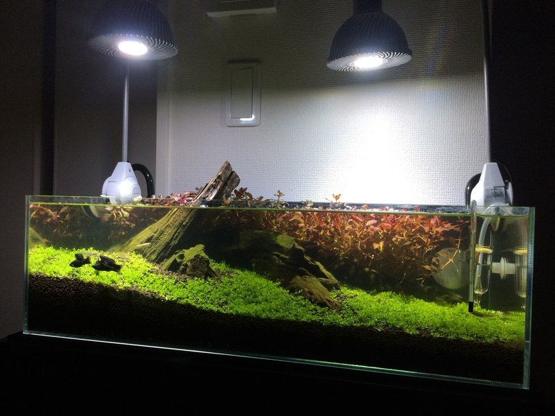 分かる人には分かる 7 アクアリウム水槽を復活させました てっちゃん サラリーマン Fp 海外投資アドバイザー Note 分かる人には分かる 7 アクアリウム水槽を復活させました てっちゃん サラリーマン Fp 海外投資アドバイザー Note