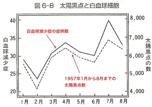 画像18