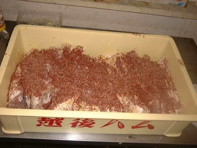 画像7