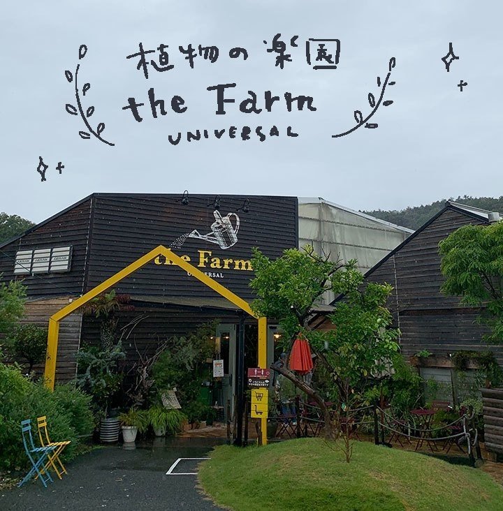 観葉植物を育ててみる Vol 2 Nanacomaruko Note 観葉植物を育ててみる Vol 2 Nanacomaruko Note