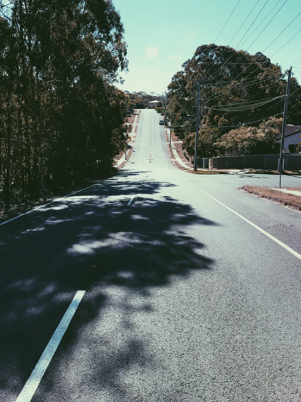 画像19