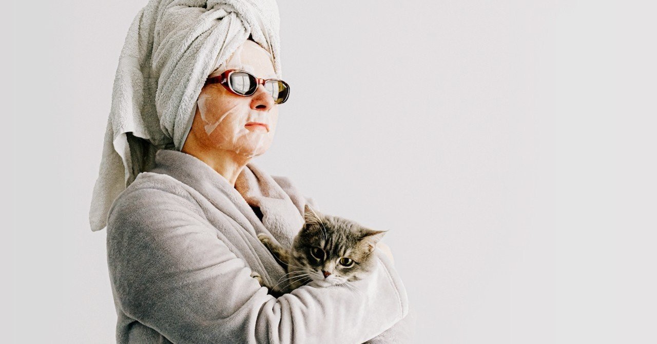 一人暮らしリモートワークで猫を迎えた話 Settie Note 一人暮らしリモートワークで猫を迎えた話 Settie Note