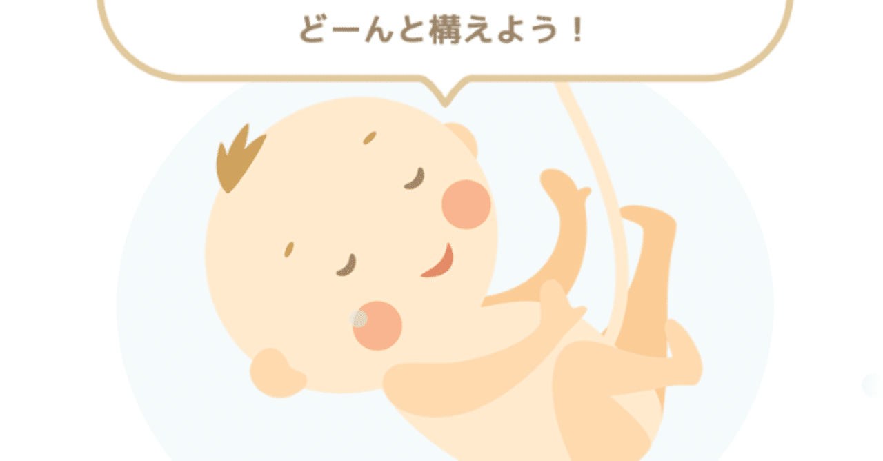 ハイリスク妊婦 壮絶妊娠歴と私 モヤモヤみもりん Note