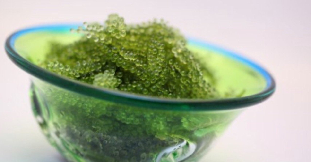 オンラインマルシェ Zoom De マルシェ 海ぶどう農園のお店ぷちぷち 鮮度抜群の海ぶどう 海ぶどう育成キット オンラインマルシェ Zoom De マルシェ Note オンラインマルシェ Zoom De マルシェ 海ぶどう農園のお店ぷちぷち 鮮度抜群の海ぶどう 海ぶどう育成キット オンラインマルシェ Zoom De マルシェ Note