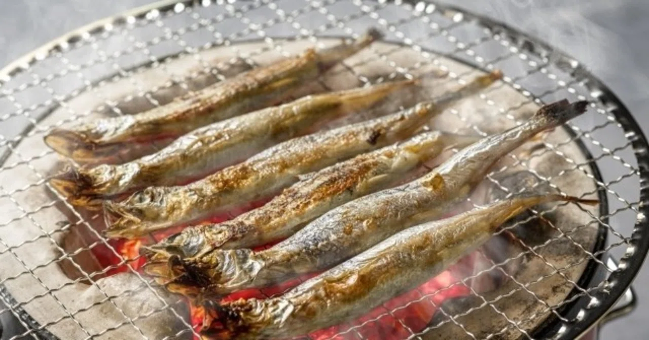 柳葉魚様 お取り寄せ」柳葉魚（ししゃも）。北海道が育てた、日本固有の貴重な魚