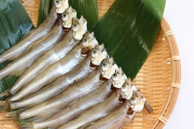 お取り寄せ」柳葉魚（ししゃも）。北海道が育てた、日本固有の貴重な魚