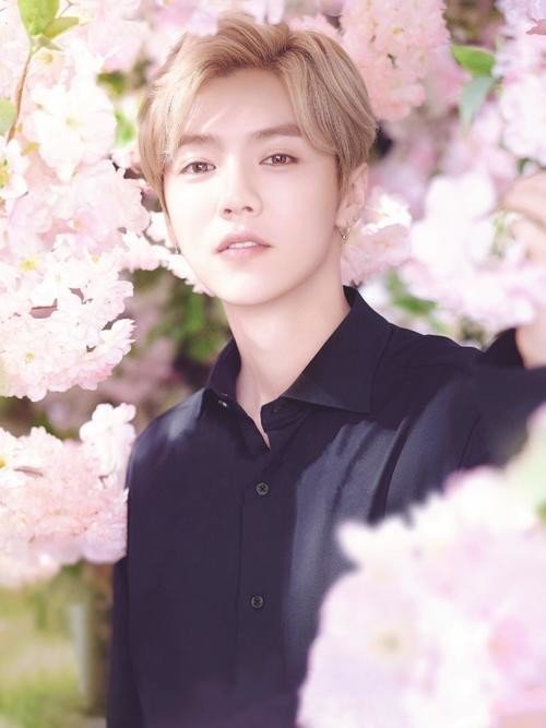 元韓国アイドルグループexoのメンバー 鹿晗 についてご紹介します 中国トレンド研究所 橋本 Note
