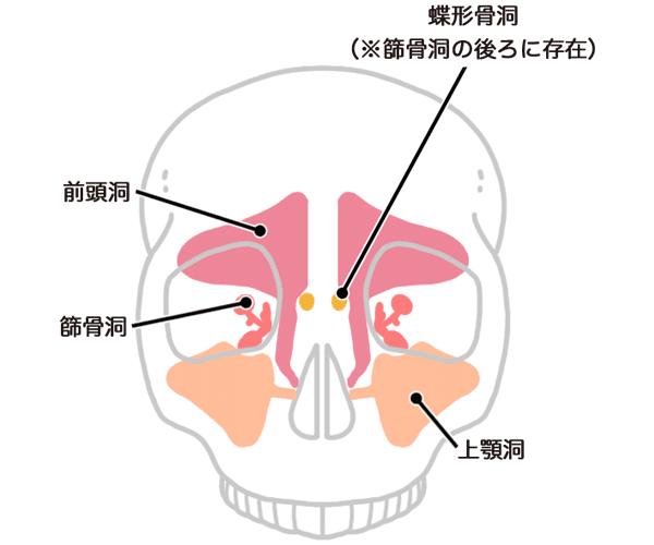 画像8