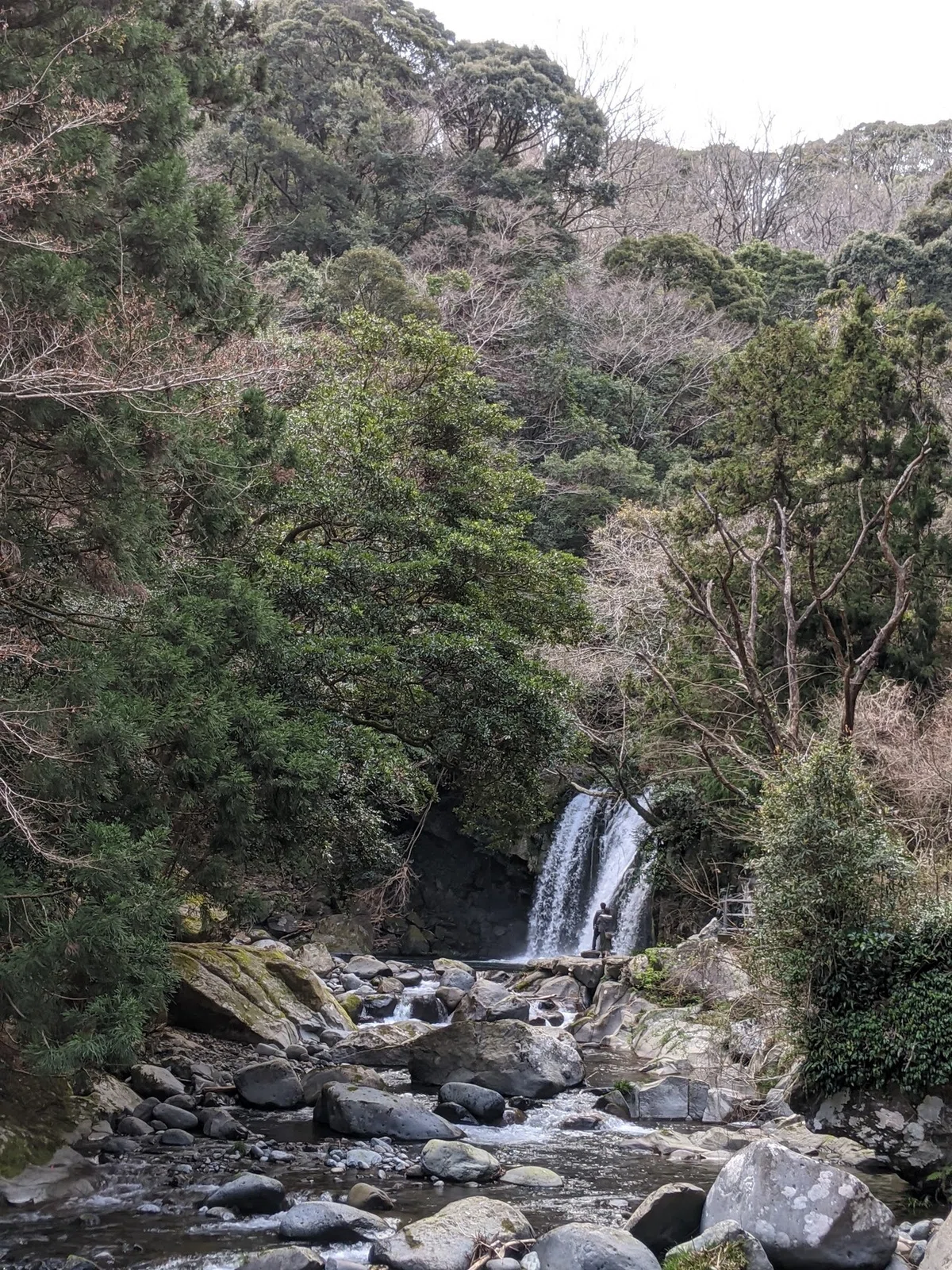 画像8
