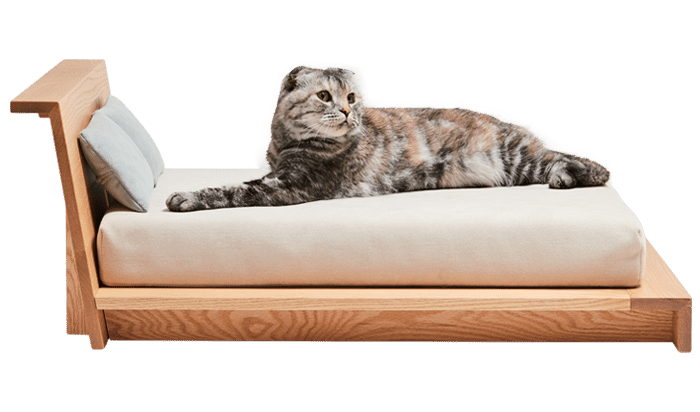 猫好きのためのおしゃれな猫用品カタログ 洋梨 Note 猫好きのためのおしゃれな猫用品カタログ 洋梨 Note