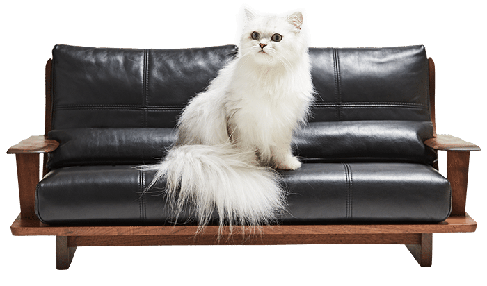 猫好きのためのおしゃれな猫用品カタログ 洋梨 Note 猫好きのためのおしゃれな猫用品カタログ 洋梨 Note