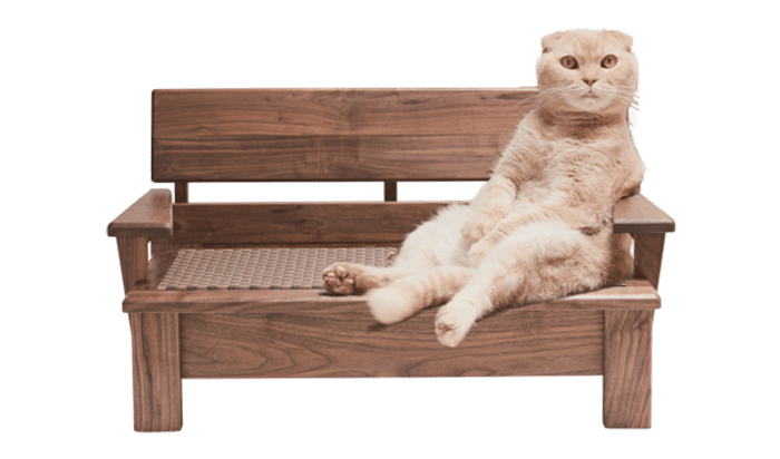 猫好きのためのおしゃれな猫用品カタログ 洋梨 Note 猫好きのためのおしゃれな猫用品カタログ 洋梨 Note