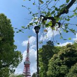 補正下着のマルコの体験と勧誘対策 断り方 のおはなし ほの Note 補正下着のマルコの体験と勧誘対策 断り方 のおはなし ほの Note