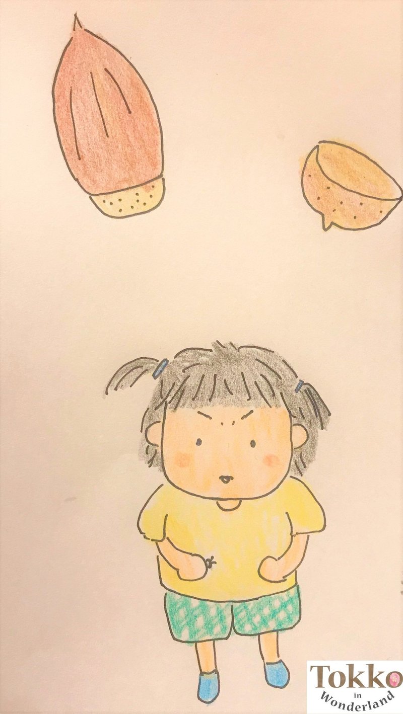 だんごむしさらい Tokko Note だんごむしさらい Tokko Note