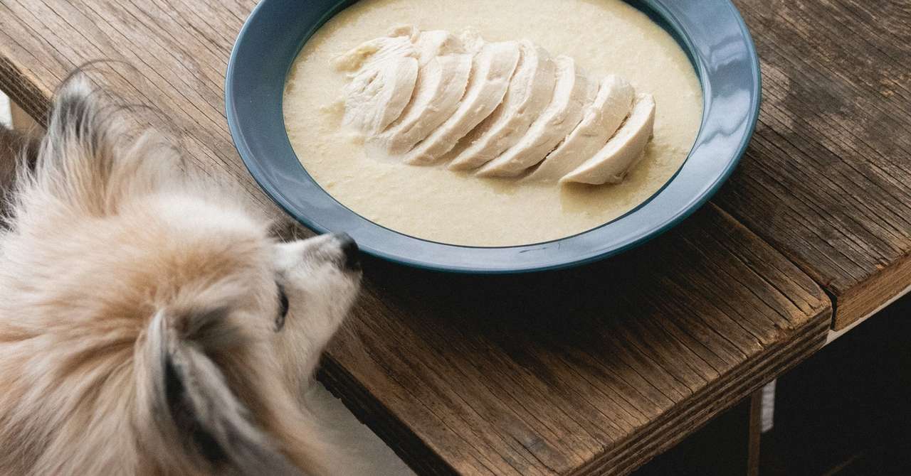 冷凍野菜でok コーンと里芋のクリームとチキンのスープ 手作り犬おやつレシピ 犬ごはん先生いちかわあやこ Official Web Site 冷凍野菜でok コーンと里芋のクリームとチキンのスープ 手作り犬おやつレシピ 犬ごはん先生いちかわあやこ Official Web Site