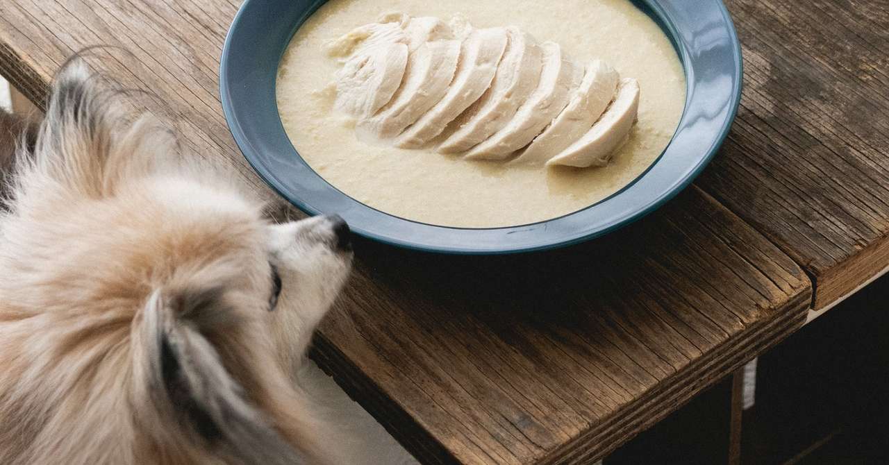 冷凍野菜でok コーンと里芋のクリームとチキンのスープ 手作り犬おやつレシピ 犬ごはん先生いちかわあやこ Official Web Site