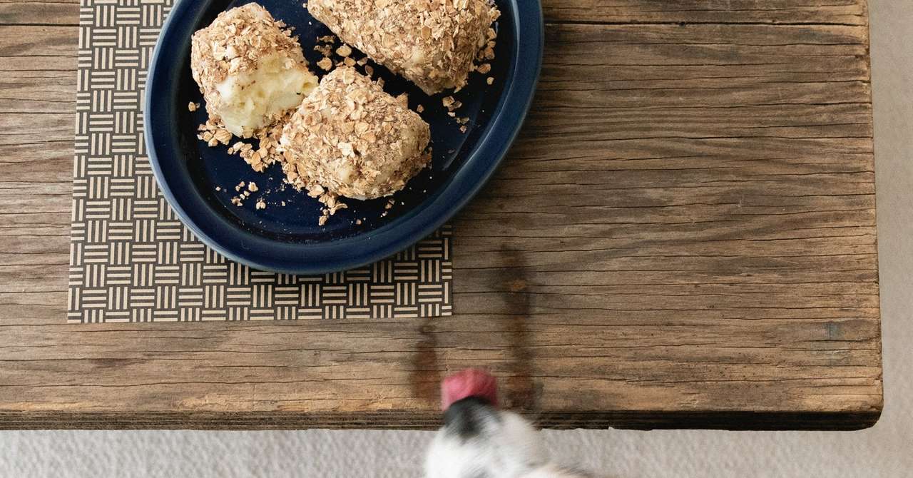 揚げない 生クリーム不要 マカロニグラタンコロッケ 手作り犬おやつレシピ 犬ごはん先生いちかわあやこ Official Web Site