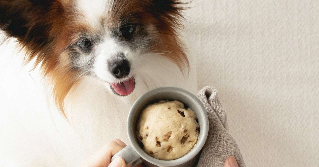 レンジ マグカップで簡単 米粉の和風パネトーネ 手作り犬おやつレシピ 犬ごはん先生いちかわあやこ Official Web Site