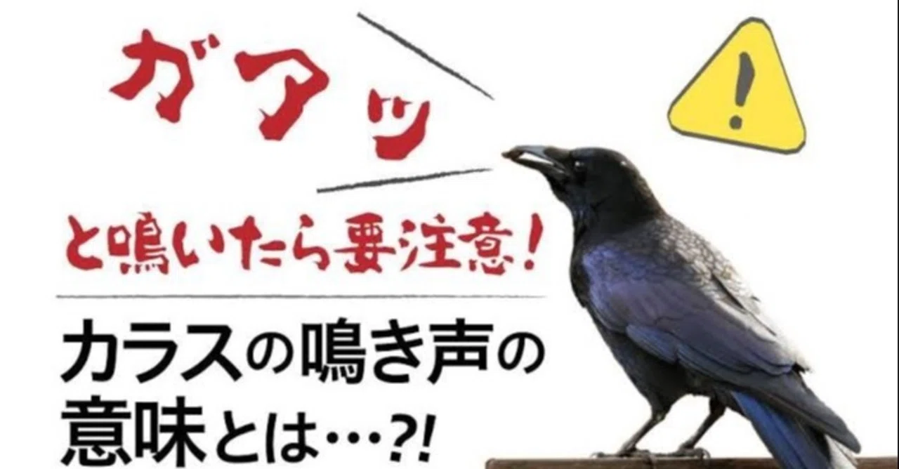 カラス 鳴き声 意味