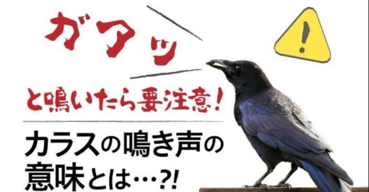 第1370回 カラスの言葉 翆野 大地 Note
