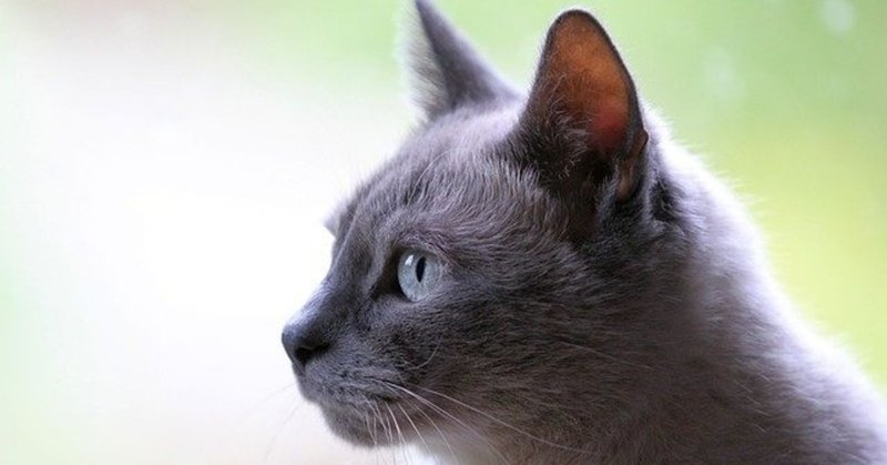 徒然草 奥山に猫またといふものありて 第八十九段 羽田さえ Note
