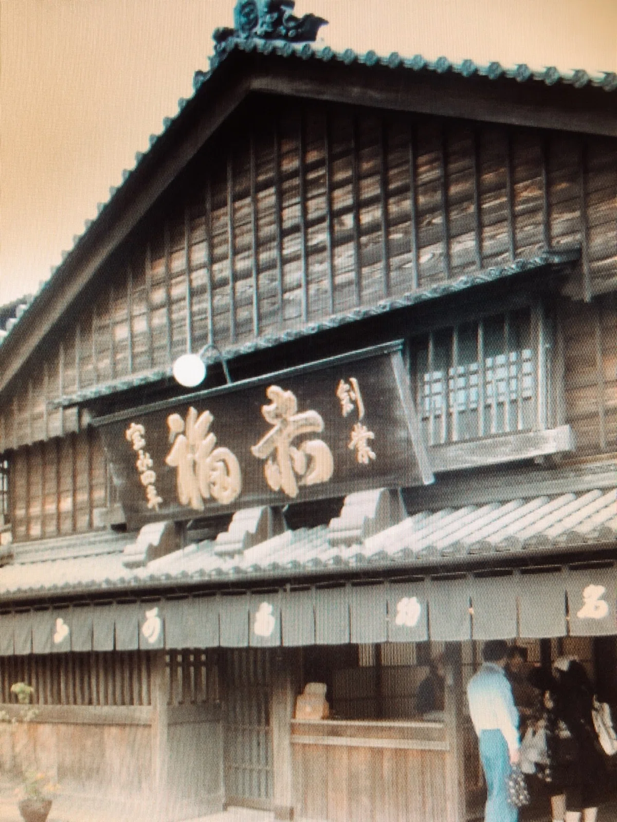 画像7