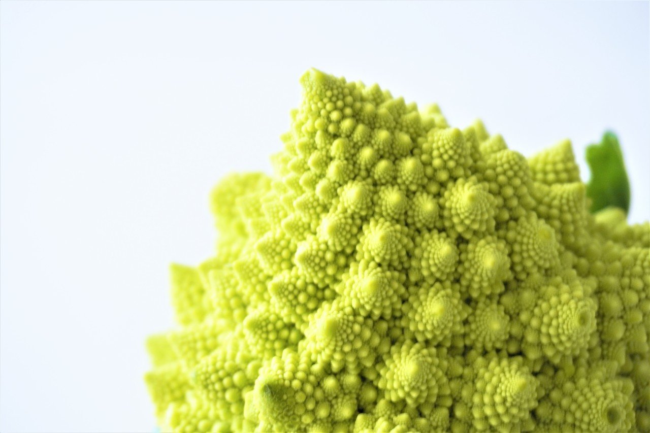 フラクタルの美 ロマネスコ 食の工房オフィスアルベロ イタリア料理教室 In 神戸 Note フラクタルの美 ロマネスコ 食の工房オフィスアルベロ イタリア料理教室 In 神戸 Note