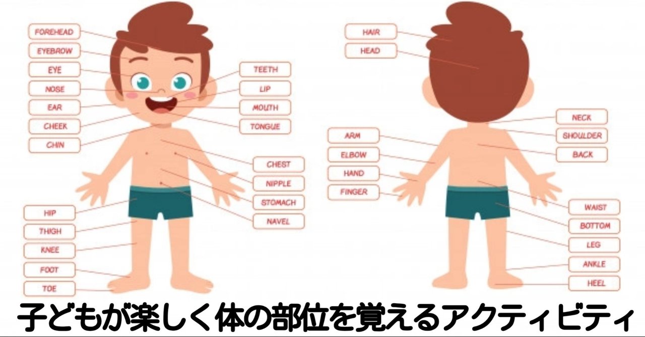 身体の部位を子どもに教える の新着タグ記事一覧 Note つくる つながる とどける