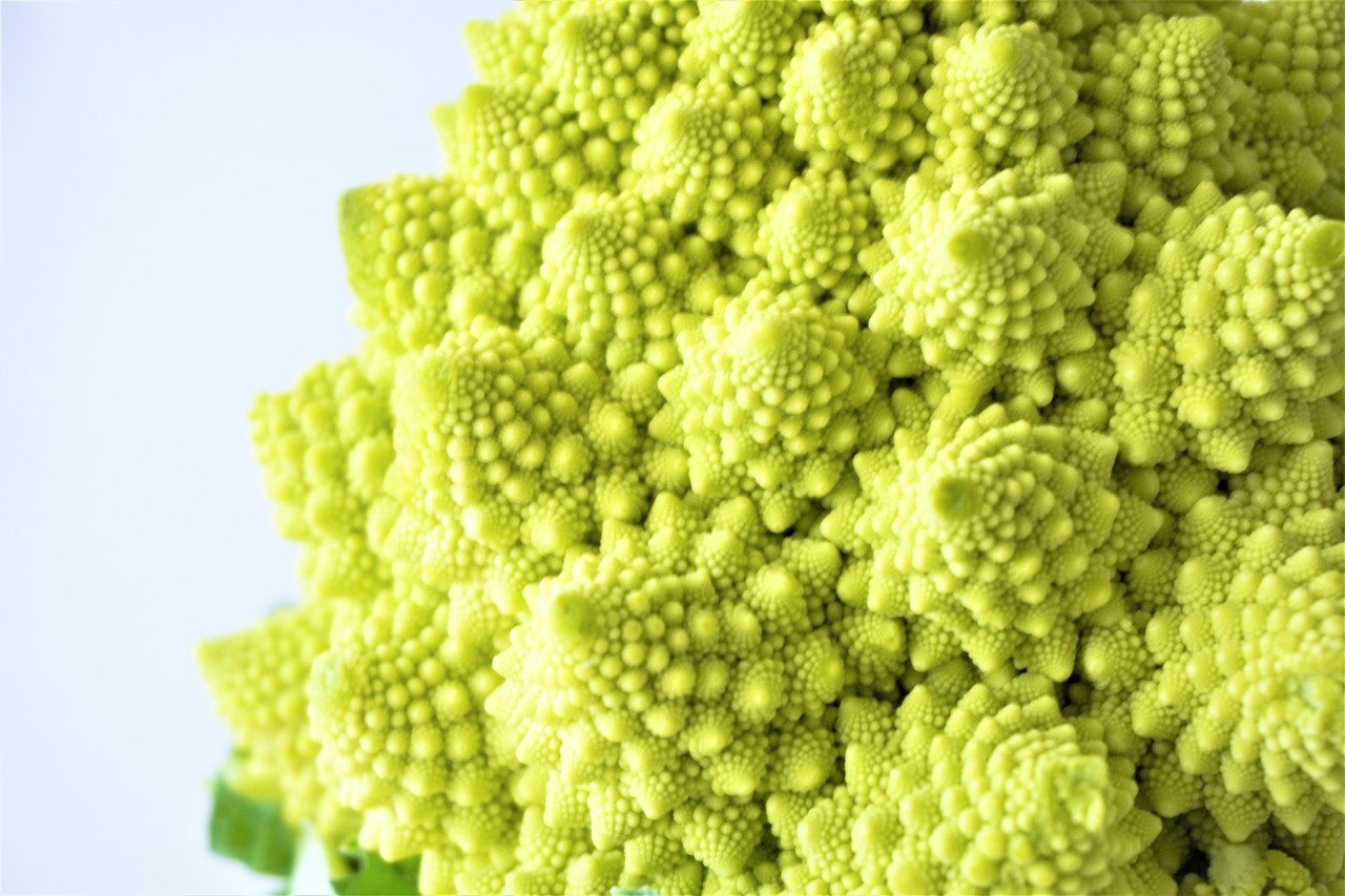 フラクタルの美 ロマネスコ 食の工房オフィスアルベロ イタリア料理教室 In 神戸 Note フラクタルの美 ロマネスコ 食の工房オフィスアルベロ イタリア料理教室 In 神戸 Note
