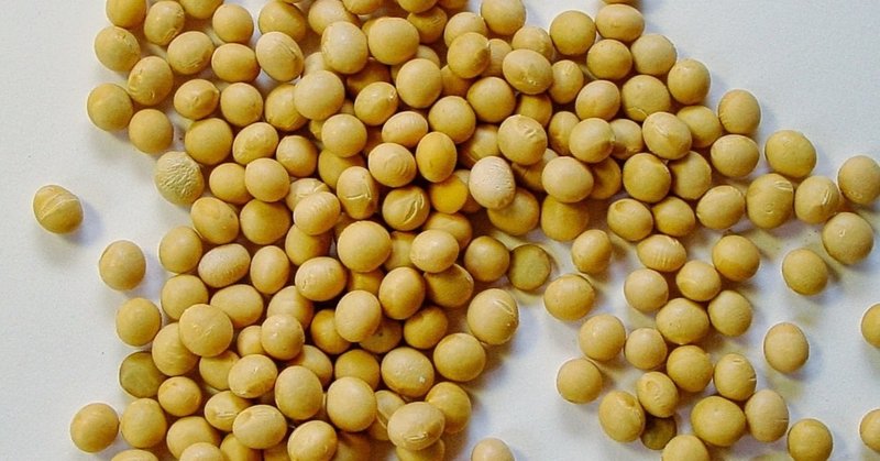 キッコーマン サクサクしょうゆの販売店はどこ 取り扱い店舗を調査 売ってるちゃん note