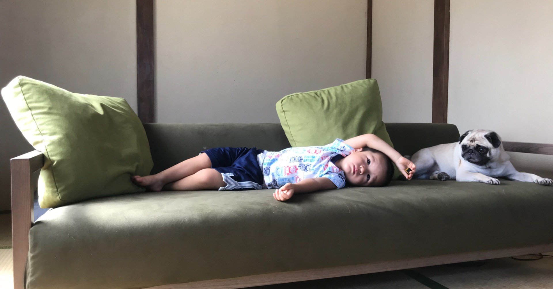 和室に合う違和感のないソファを選ぶ6つのポイント｜NOYES （ノイエス）