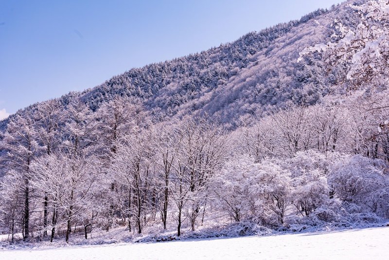 雪原１