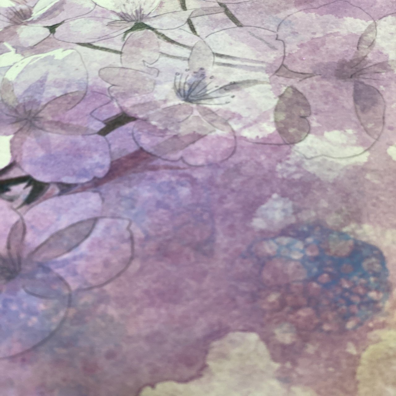 ひみつの「月夜の桜」イラストメイキング｜末次由紀