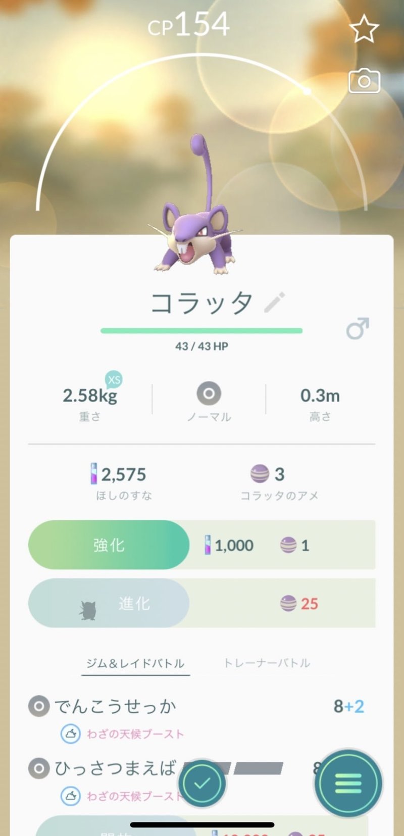 画像7