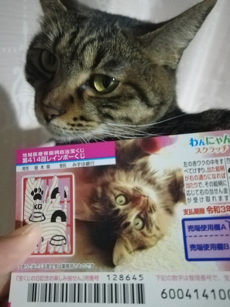 スクラッチ高額当選の備忘録 猫又 Note