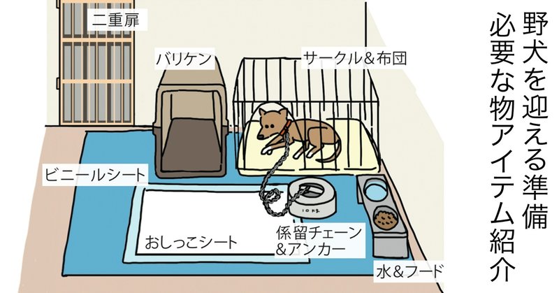 迎える準備 保護犬 野犬に必要なアイテム紹介 Tkk Note