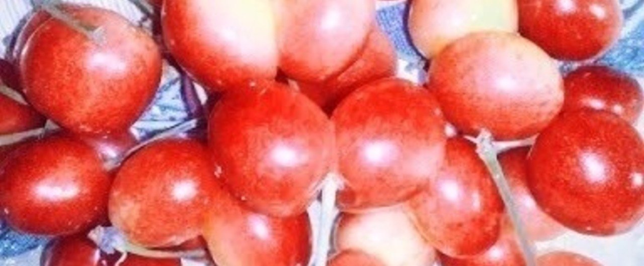 こんなことやってる場合じゃないと思わなくなった話 翠川裕美 Webサービス Katalokooo 代表 Note