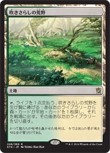 【統率者戦・EDH用】フェッチランド10枚セット 汎用】統率者で使える｜何とかランド編 | EDH TURN