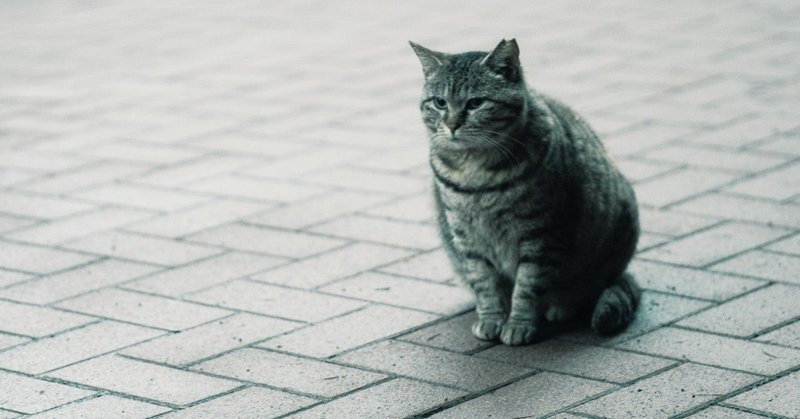 負の感情の渦に飲み込まれないために覚えておいた方がいいこと