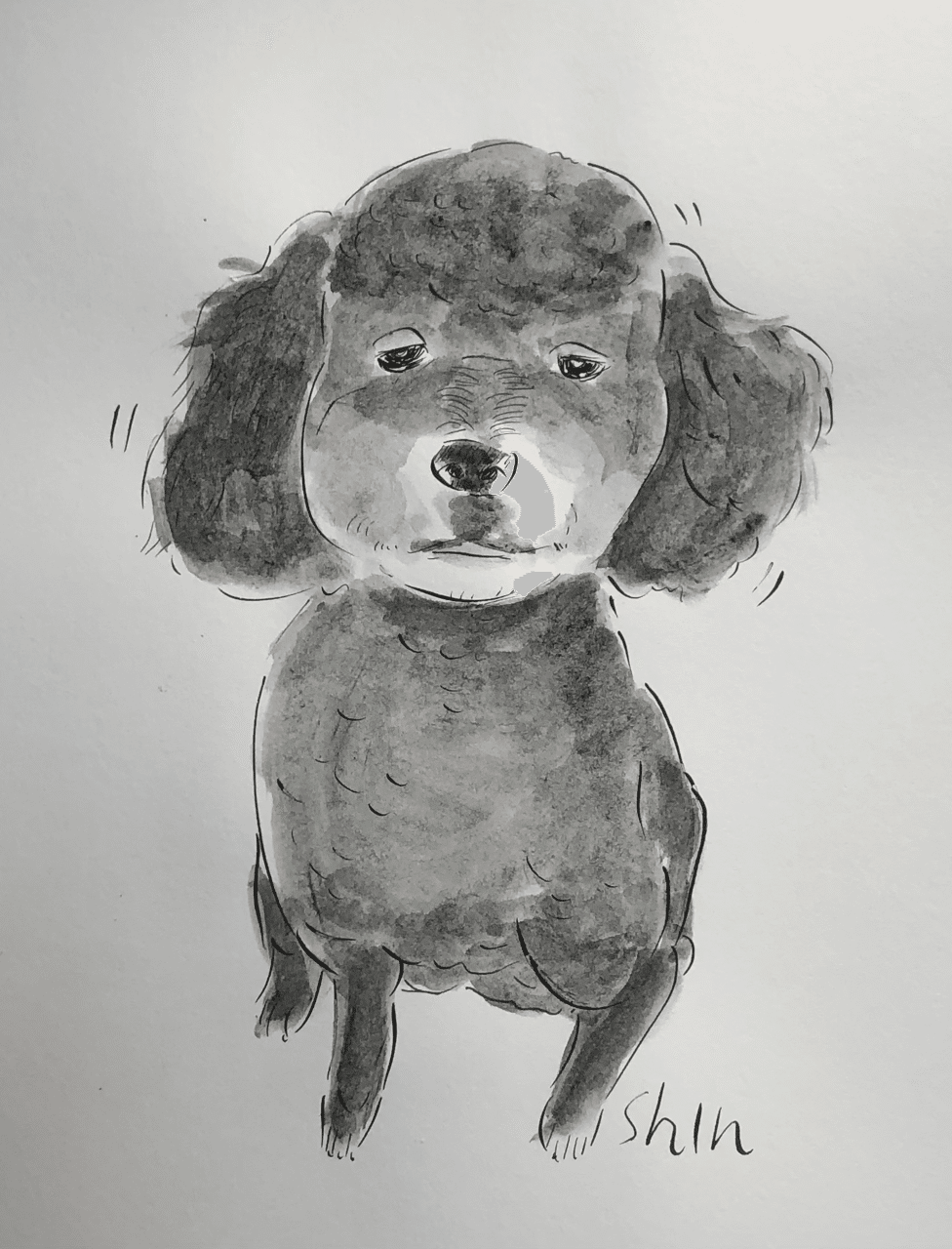 我が家の愛犬 Shin Note 我が家の愛犬 Shin Note