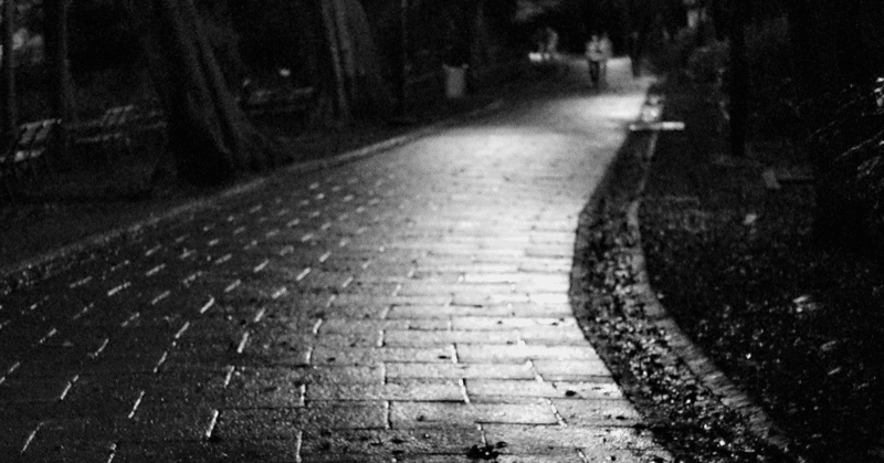 暗い夜の道